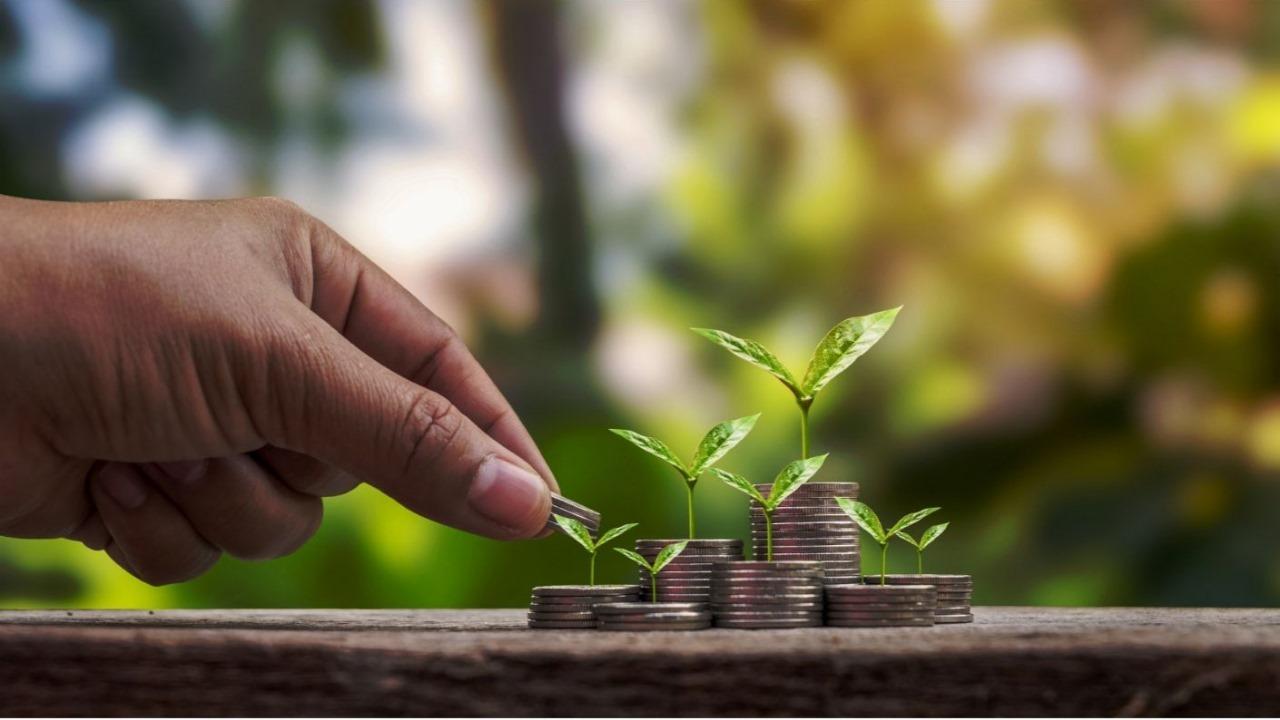 INVEST SMART - INVEST NOW